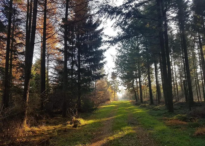 4 Person In Toftlund-by Traum