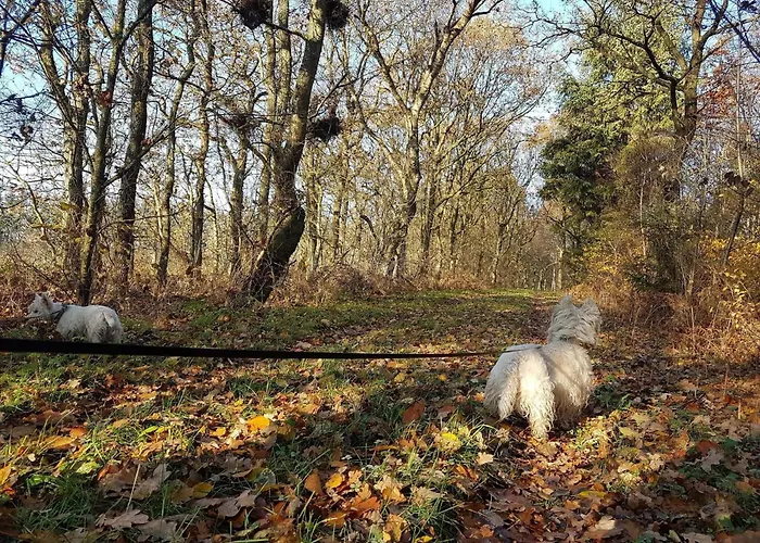 4 Person In Toftlund-by Traum * Toftlund