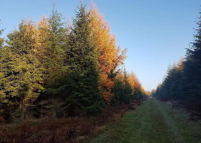 4 Person In Toftlund-by Traum Toftlund