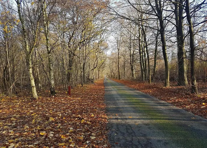 4 Person In Toftlund-by Traum * Toftlund