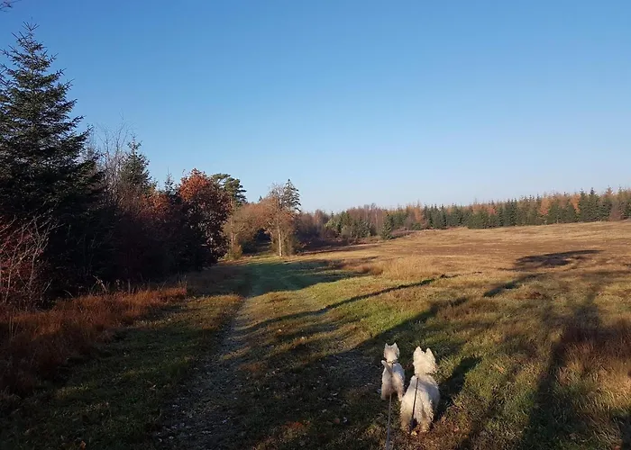 4 Person In Toftlund-by Traum Holiday home Toftlund