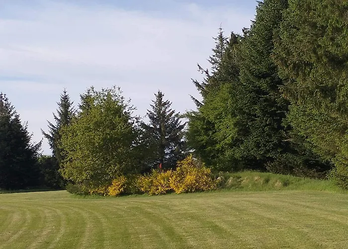 4 Person In Toftlund-by Traum *