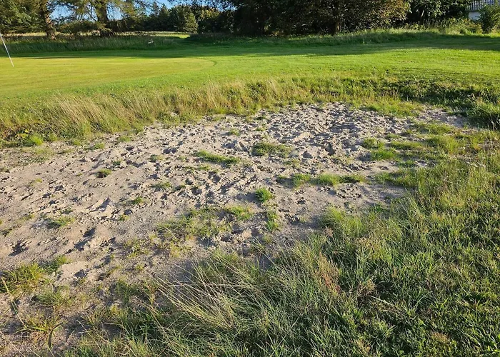 4 Person In Toftlund-by Traum *