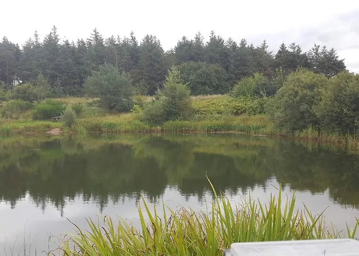 4 Person In Toftlund-by Traum Сasa de vacaciones *