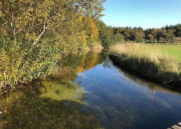 4 Person In Toftlund-by Traum *